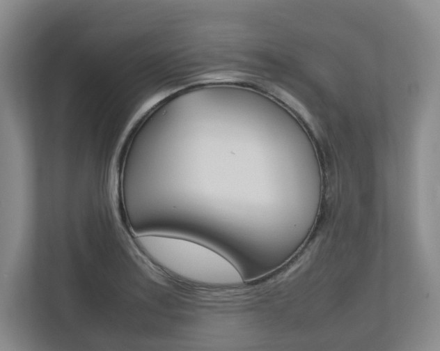 X0000112531179200908171138