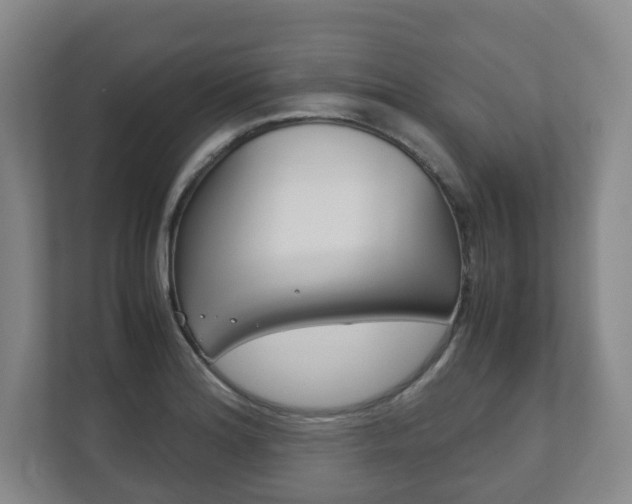 X0000112531180200908171138