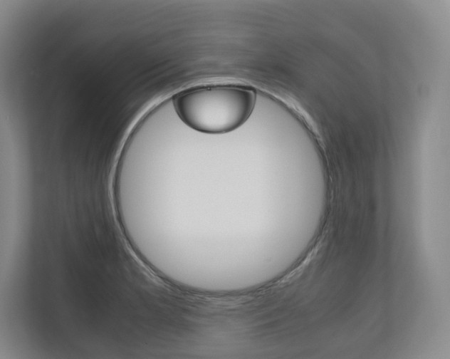 X0000112531181200908171138