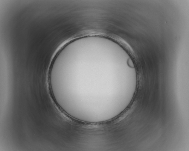 X0000112531182200908171138