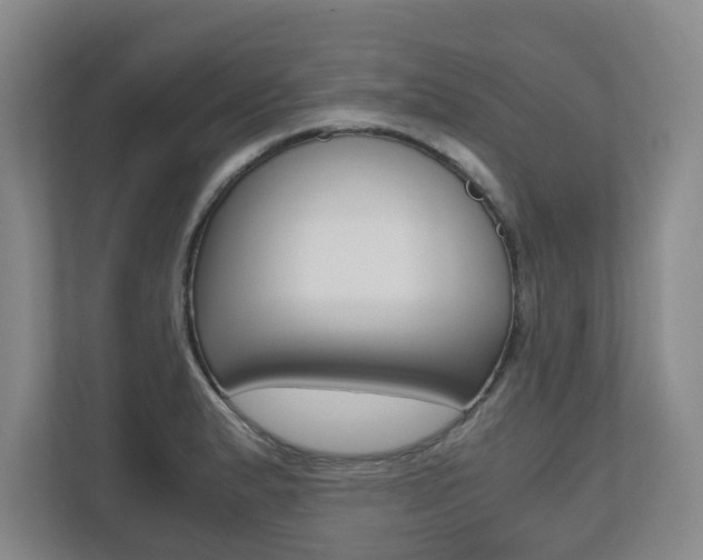 X0000112531183200908171138