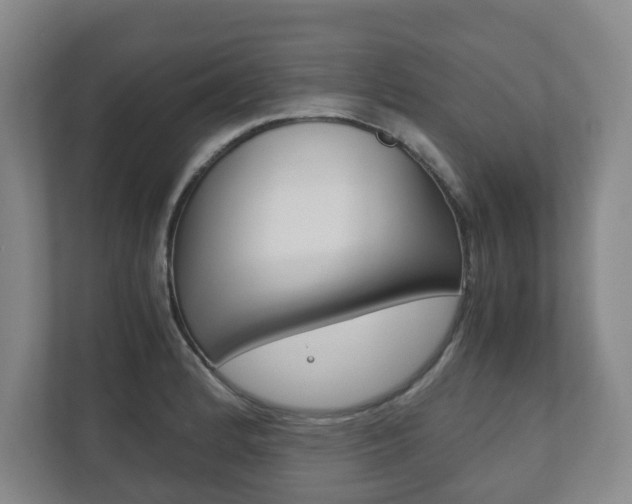 X0000112531184200908171138