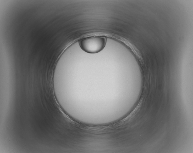 X0000112531185200908171138