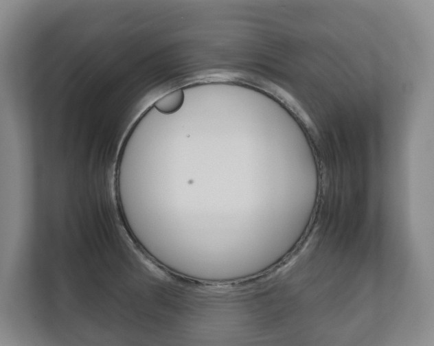 X0000112531186200908171138