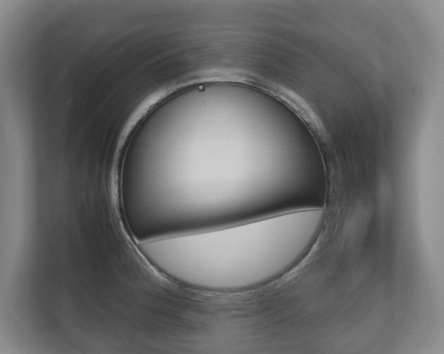 X0000112531188200908171138