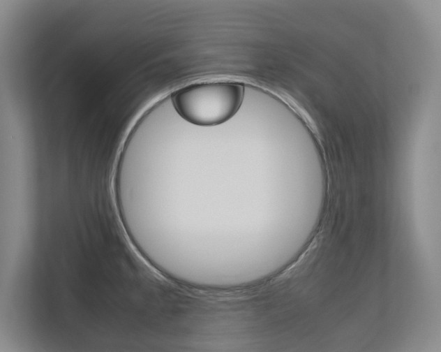 X0000112531189200908171138