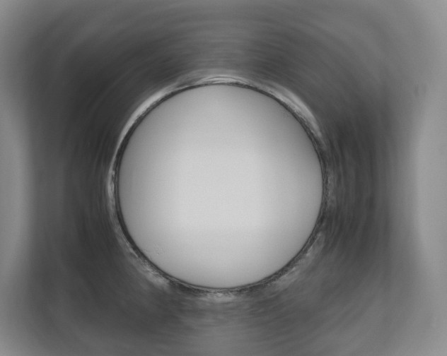 X0000112531190200908171138