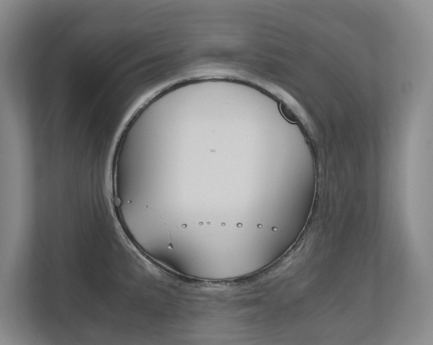 X0000112531191200908171138