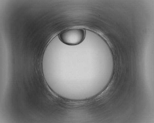 X0000112531193200908171138