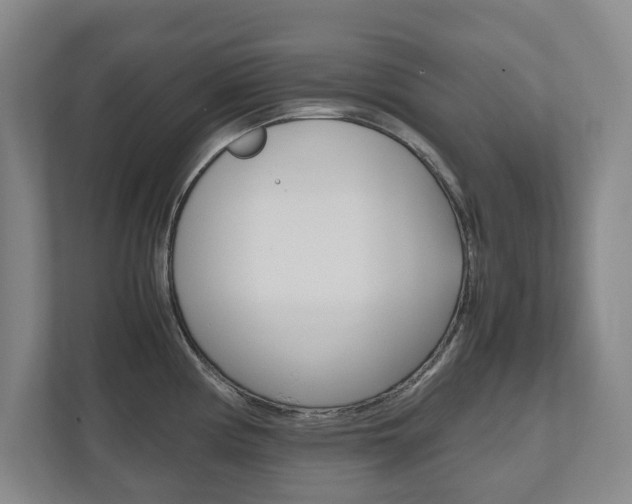 X0000112531194200908171138