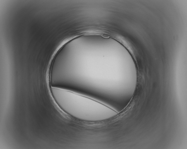 X0000112531195200908171138