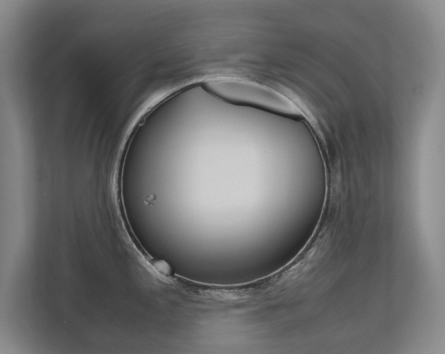 X0000112531197200908171138