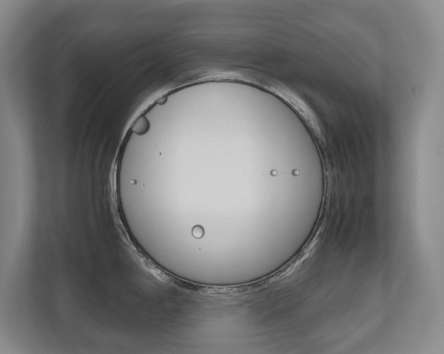 X0000112531198200908171138