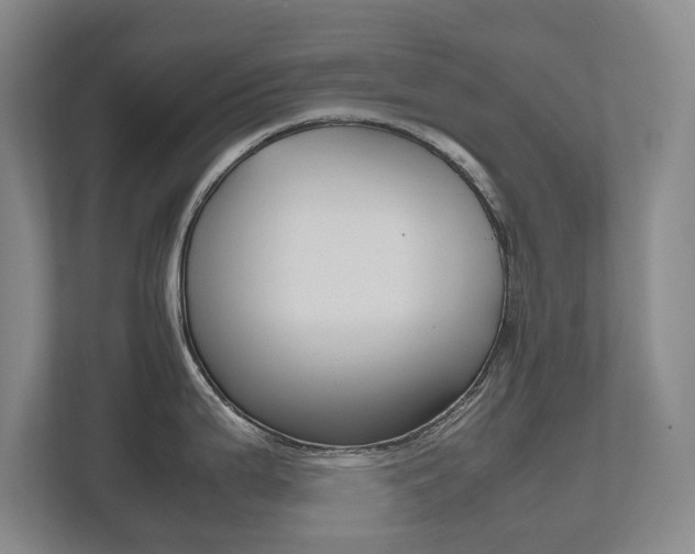 X0000112531199200908171138