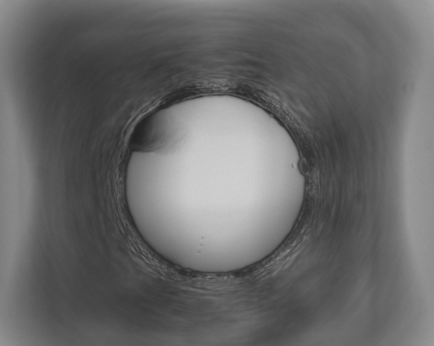 X0000112531201200908171138