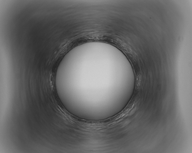 X0000112531202200908171138