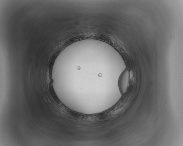 X0000112531203200908171138