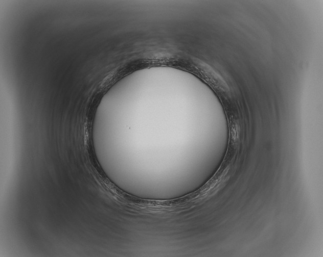 X0000112531204200908171138