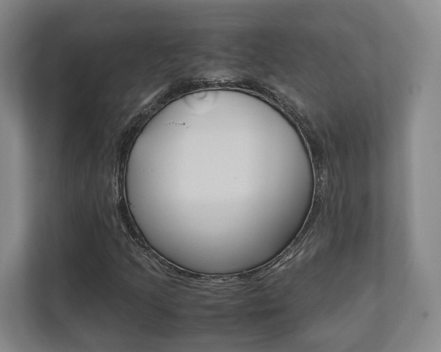 X0000112531205200908171138