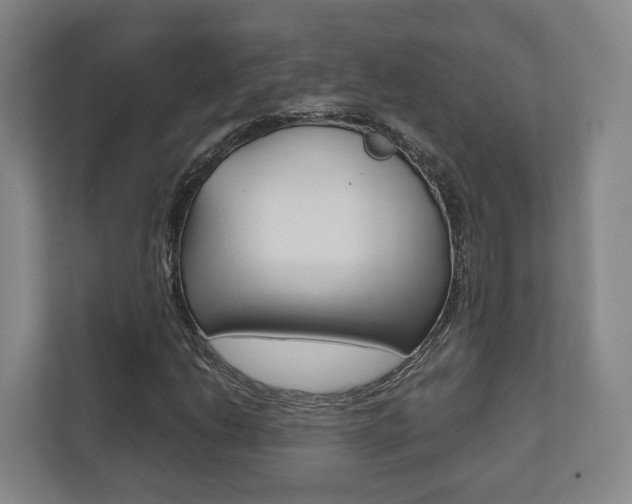 X0000112531206200908171138