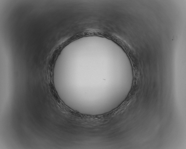 X0000112531207200908171138
