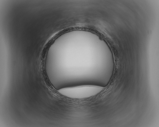 X0000112531208200908171138