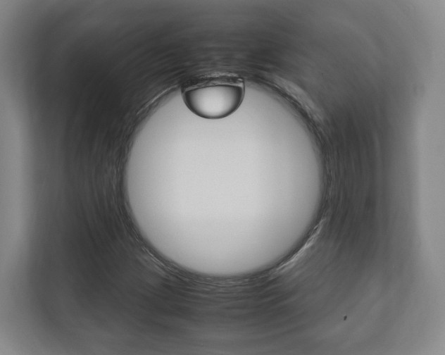 X0000112531209200908171138