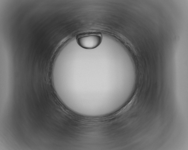 X0000112531210200908171138