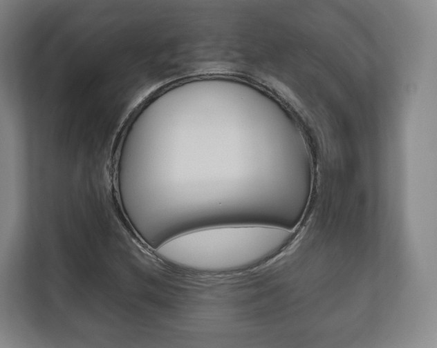 X0000112531212200908171138