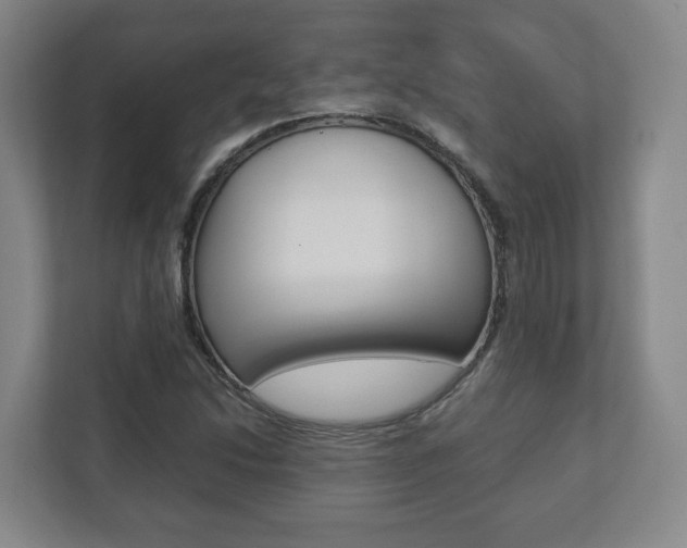 X0000112531214200908171138