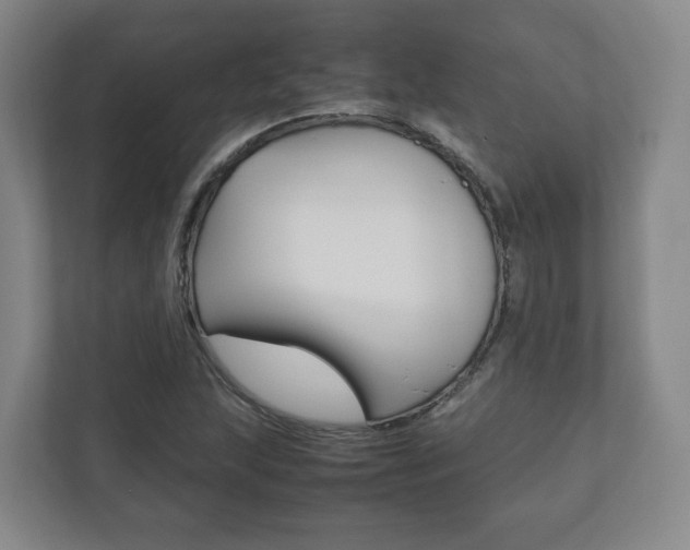 X0000112531215200908171138