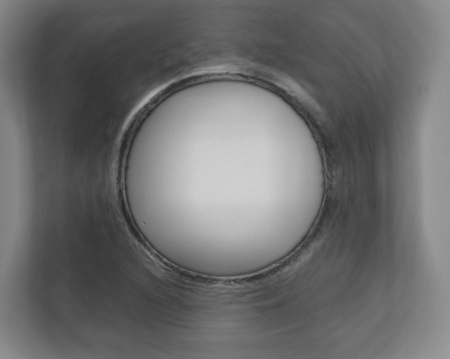 X0000112531216200908171138