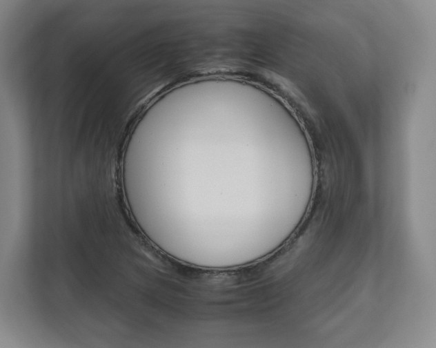 X0000112531217200908171138