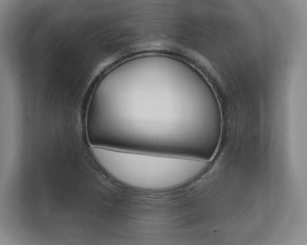 X0000112531218200908171138