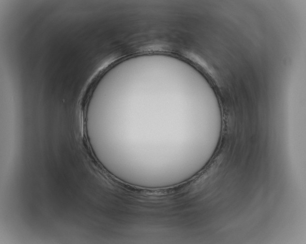X0000112531219200908171138