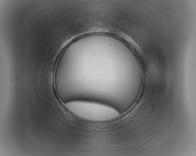 X0000112531220200908171138