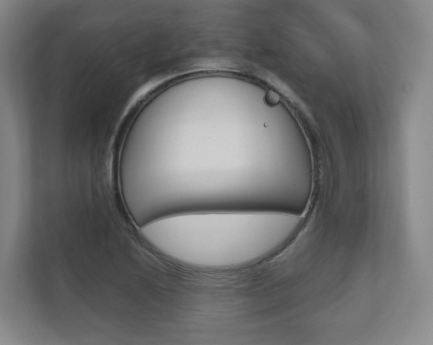 X0000112531222200908171138