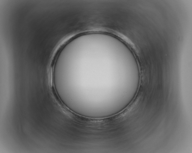 X0000112531223200908171138