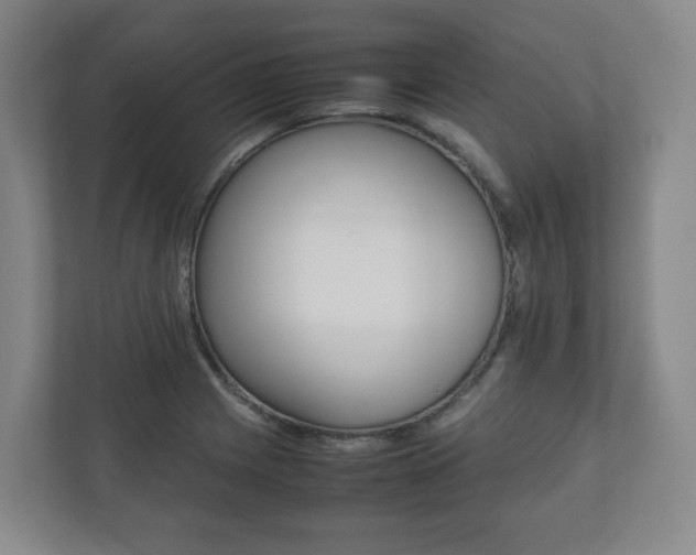 X0000112531225200908171138