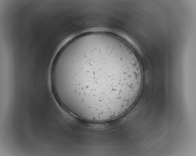 X0000112531229200908171138