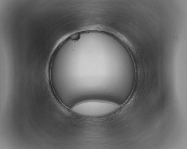 X0000112531230200908171138