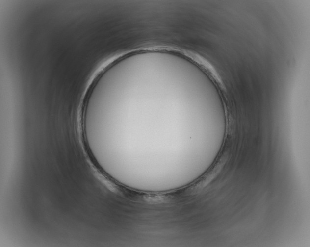 X0000112531231200908171138