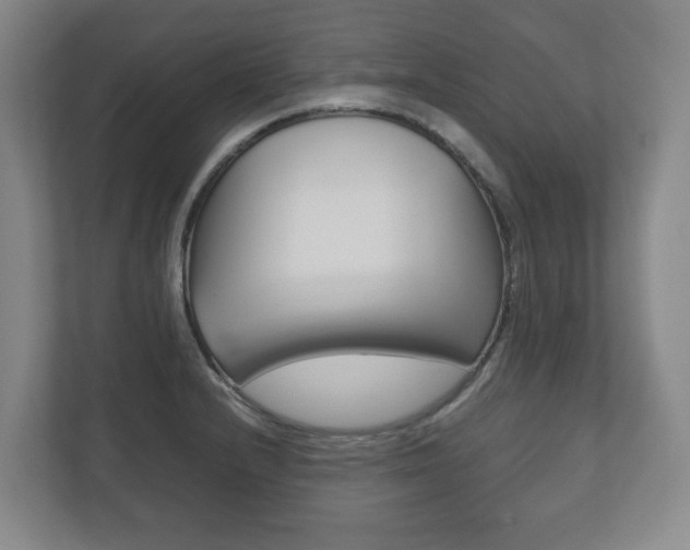 X0000112531232200908171138