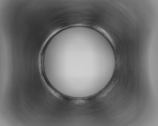 X0000112531235200908171138
