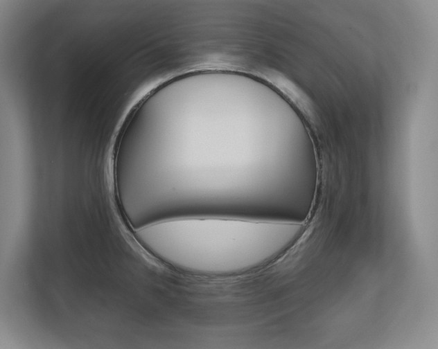 X0000112531238200908171138