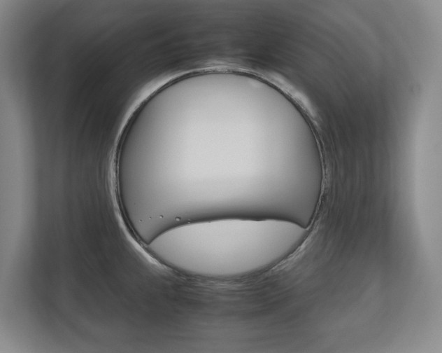 X0000112531239200908171138