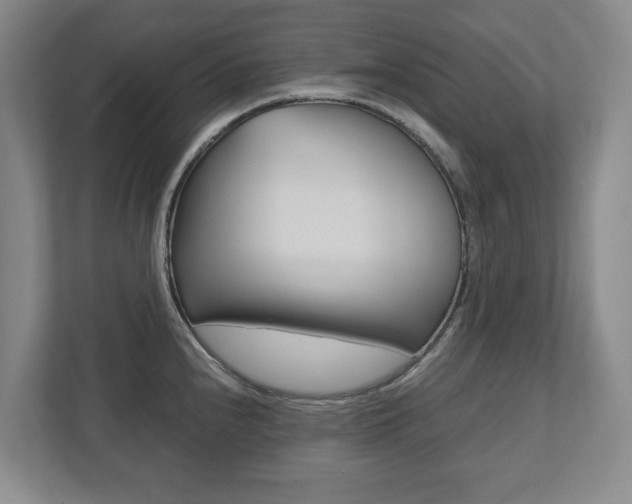 X0000112531240200908171138