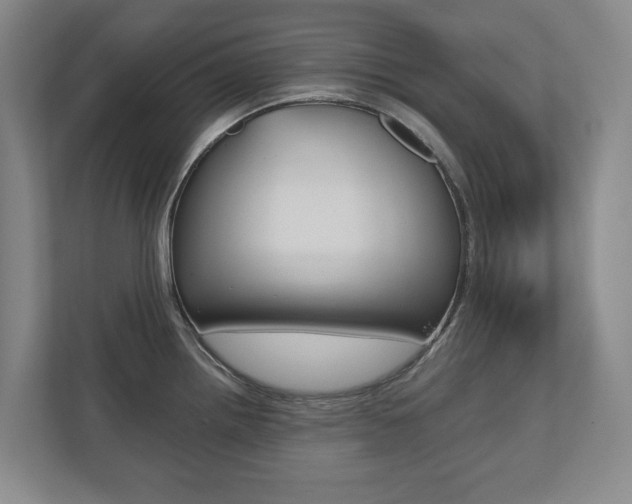 X0000112531242200908171138