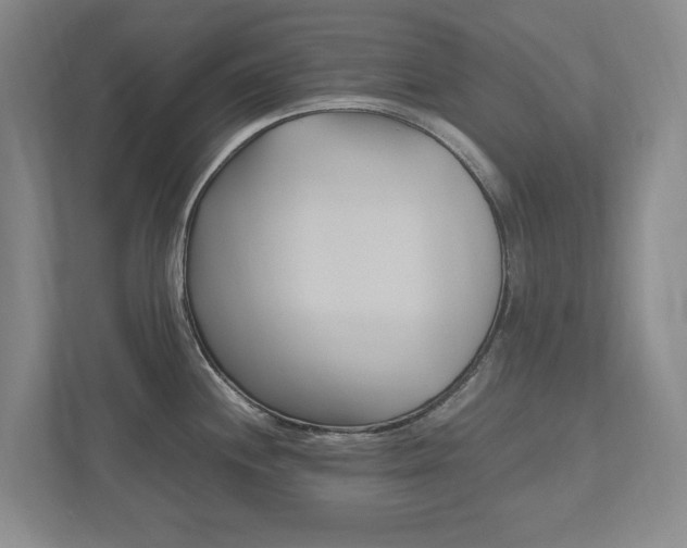 X0000112531244200908171138
