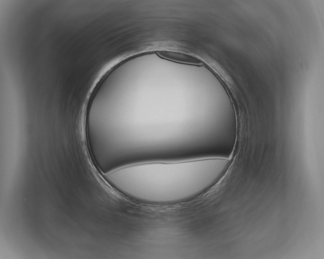 X0000112531246200908171138